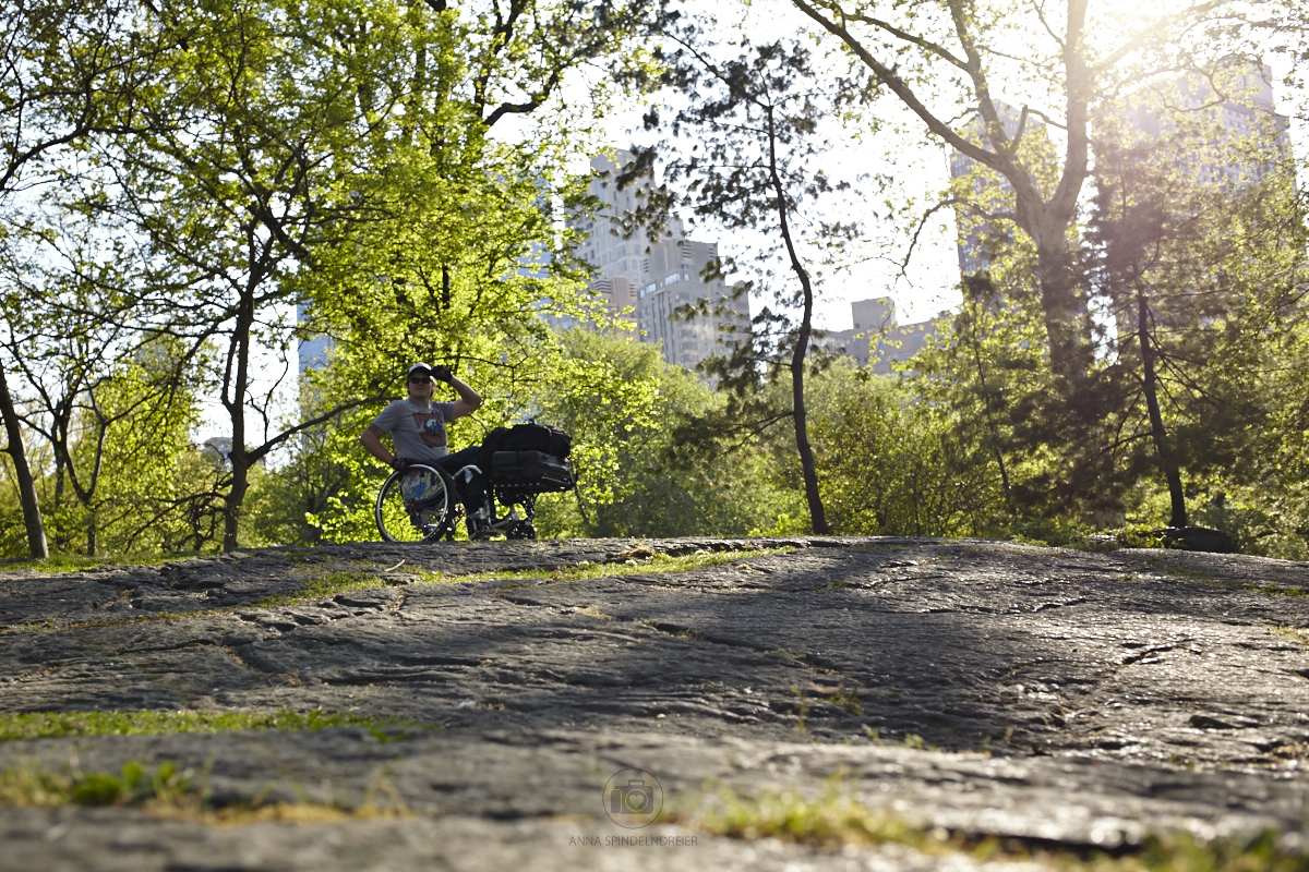 Im Central Park konnte ich einige Felsen entdecken - Foto: Anna Spindelndreier