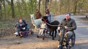 Barrierearme Alpaka-Tour getestet